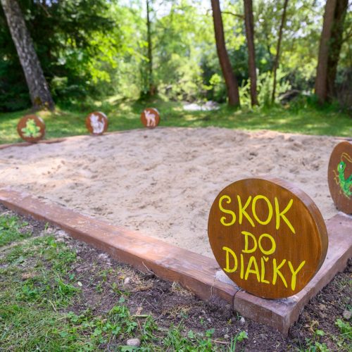 Skok do diaľky